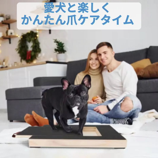 愛犬と楽しく、かんたん爪ケアタイム