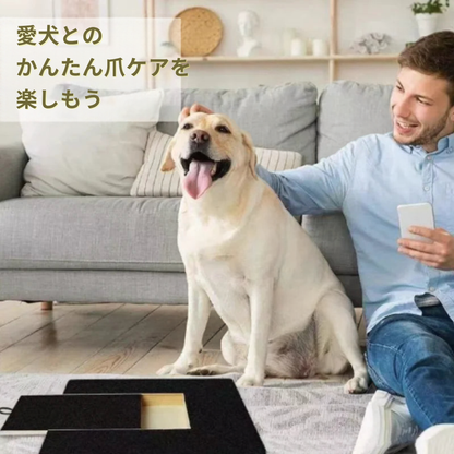 愛犬とのかんたん爪ケアを楽しもう